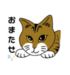 家の猫さん（個別スタンプ：7）