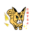 家の猫さん（個別スタンプ：8）