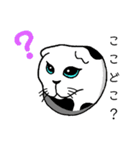 家の猫さん（個別スタンプ：12）