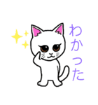家の猫さん（個別スタンプ：13）