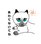 家の猫さん（個別スタンプ：14）