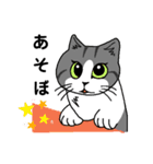 家の猫さん（個別スタンプ：22）