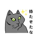 家の猫さん（個別スタンプ：24）