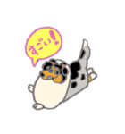 コリー犬アートスタンプ（個別スタンプ：29）