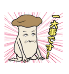 しいたけ侍 スタンプ 3（個別スタンプ：1）