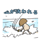 しいたけ侍 スタンプ 3（個別スタンプ：24）