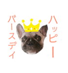 僕の名はトッティ2（個別スタンプ：2）