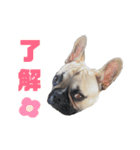 僕の名はトッティ2（個別スタンプ：3）