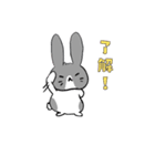 毎日使えるうさぎさんスタンプ（個別スタンプ：1）