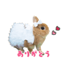 ふわふわもみたん（個別スタンプ：6）