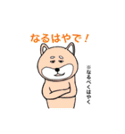 ビジネス用語に堪能な動物たち（個別スタンプ：5）