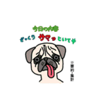 ビジネス用語に堪能な動物たち（個別スタンプ：19）