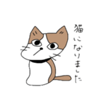 セスタという猫（個別スタンプ：1）