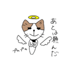セスタという猫（個別スタンプ：8）