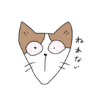 セスタという猫（個別スタンプ：12）
