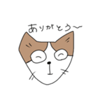 セスタという猫（個別スタンプ：16）