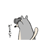 まじろーちゃん（個別スタンプ：12）