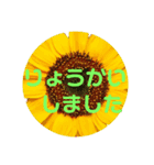 花 葉 ピース（個別スタンプ：4）