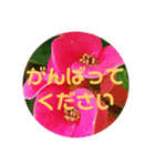 花 葉 ピース（個別スタンプ：7）