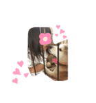 実写柴犬スタンプ（個別スタンプ：6）