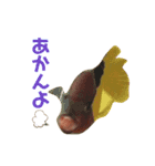 フラワーホーンのこぶさん②（個別スタンプ：2）