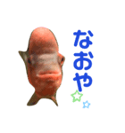 フラワーホーンのこぶさん②（個別スタンプ：3）