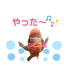 フラワーホーンのこぶさん②（個別スタンプ：5）