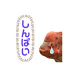 フラワーホーンのこぶさん②（個別スタンプ：7）