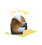 うちのれい（個別スタンプ：3）
