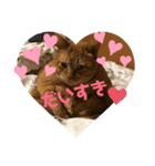 うちのれい（個別スタンプ：8）