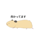 キンクマのきんちゃん（個別スタンプ：6）