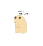 キンクマのきんちゃん（個別スタンプ：14）