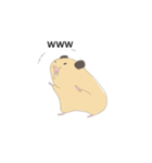 キンクマのきんちゃん（個別スタンプ：32）