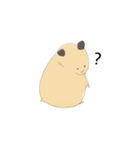 キンクマのきんちゃん（個別スタンプ：36）
