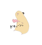 キンクマのきんちゃん（個別スタンプ：38）