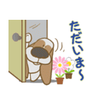 バセットハウンド(犬) 28（個別スタンプ：14）