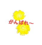 花ピース（個別スタンプ：4）