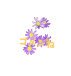 花ピース（個別スタンプ：5）