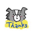 ボーダーコリーちゃんといっしょ！（個別スタンプ：6）