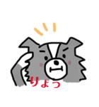 ボーダーコリーちゃんといっしょ！（個別スタンプ：9）