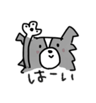ボーダーコリーちゃんといっしょ！（個別スタンプ：10）