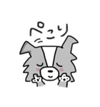 ボーダーコリーちゃんといっしょ！（個別スタンプ：12）