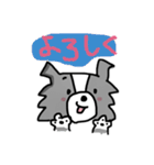 ボーダーコリーちゃんといっしょ！（個別スタンプ：13）