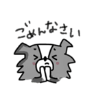 ボーダーコリーちゃんといっしょ！（個別スタンプ：19）