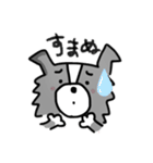 ボーダーコリーちゃんといっしょ！（個別スタンプ：20）