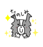 ボーダーコリーちゃんといっしょ！（個別スタンプ：21）