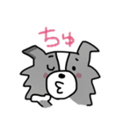 ボーダーコリーちゃんといっしょ！（個別スタンプ：22）