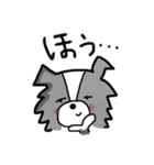 ボーダーコリーちゃんといっしょ！（個別スタンプ：27）