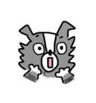 ボーダーコリーちゃんといっしょ！（個別スタンプ：30）
