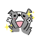 ボーダーコリーちゃんといっしょ！（個別スタンプ：32）